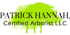 Patrick Hannah Certified Arborist LLC Colored